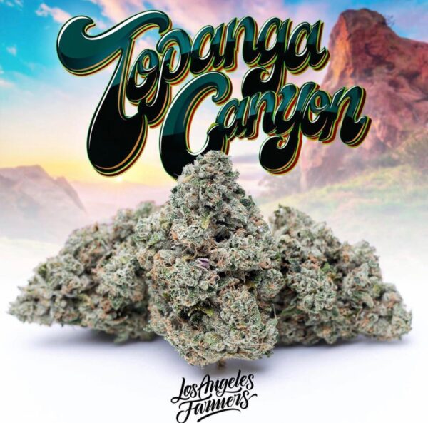 Buy Jungle Boys Topanga Canyon