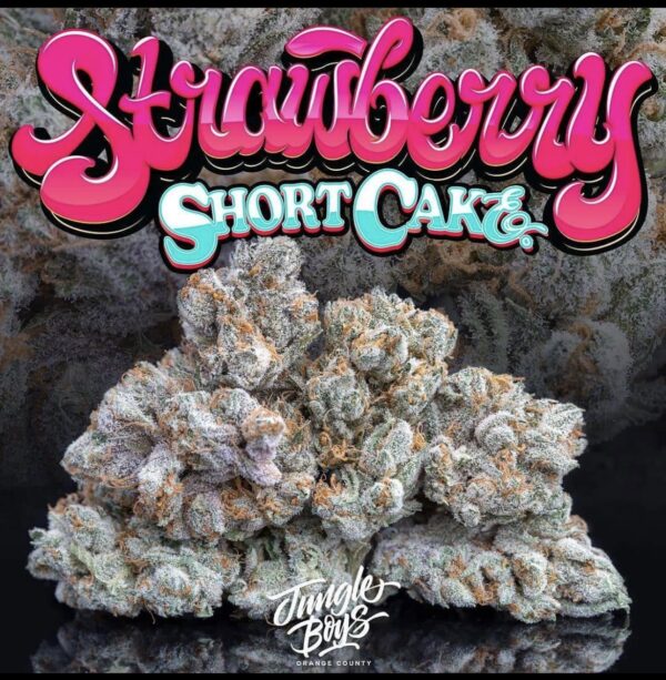 Buy Jungleboys Strawberry Shortcake