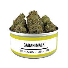 Buy Garanimals Strain online